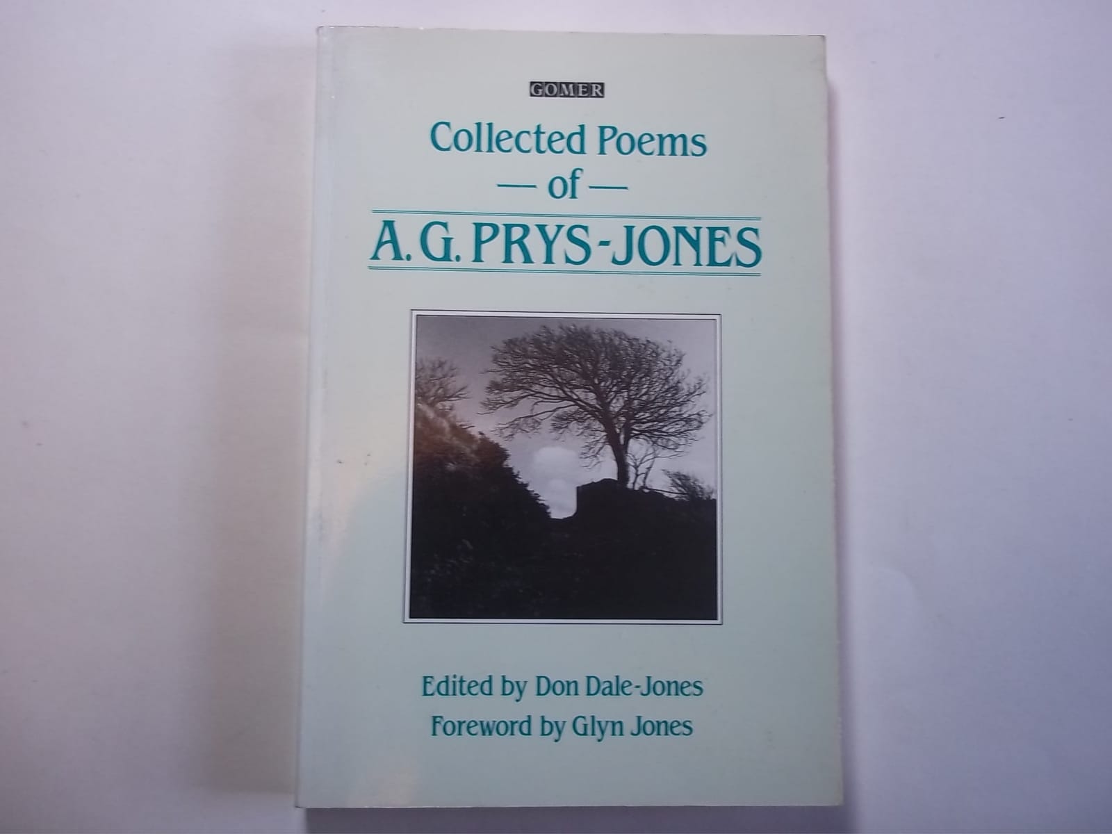 In Llantrithyd Church: a poem